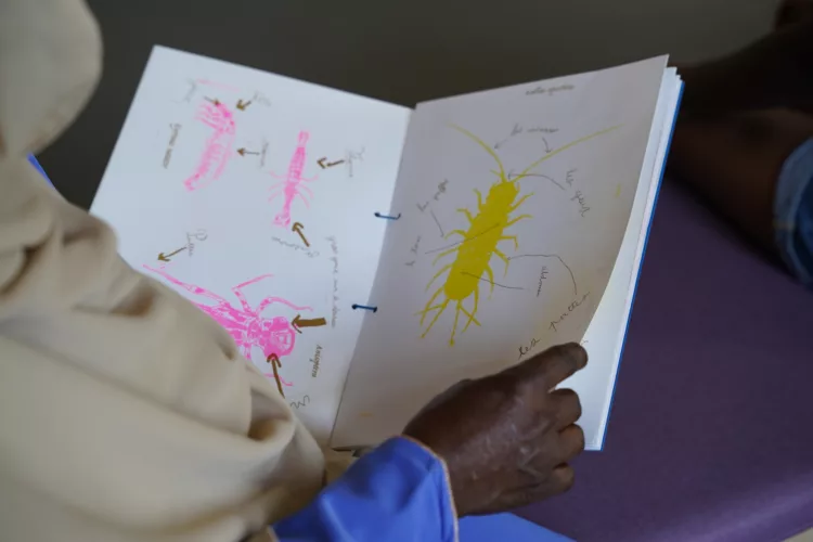 Curieux Spécimens : création d&rsquo;un livret en RISO - Édulab Pasteur