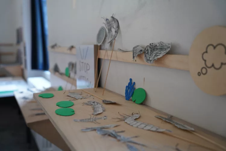 Curieux Spécimens : création d&rsquo;un livret en RISO - Édulab Pasteur