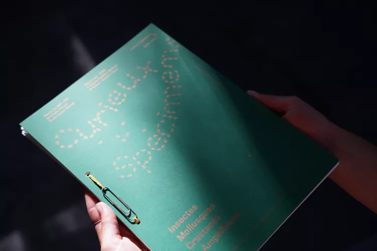 Curieux Spécimens : création d&rsquo;un livret en RISO - Édulab Pasteur