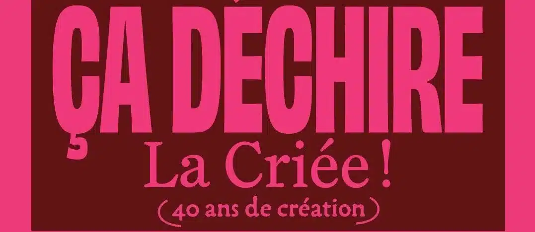 Ça déchire ! Parcours Criée X édulab Pasteur - Édulab Pasteur